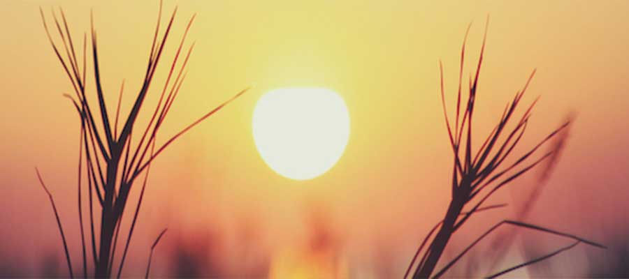 zonsondergang barada